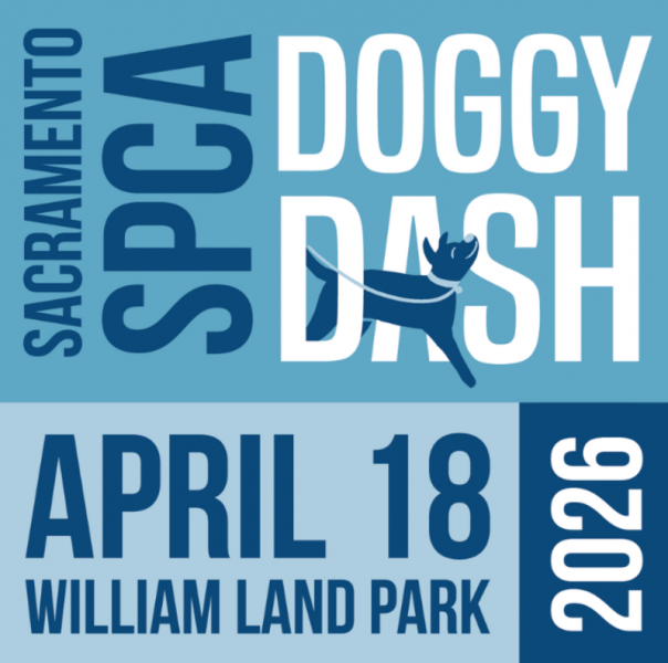 SPCA DOGGY DASH