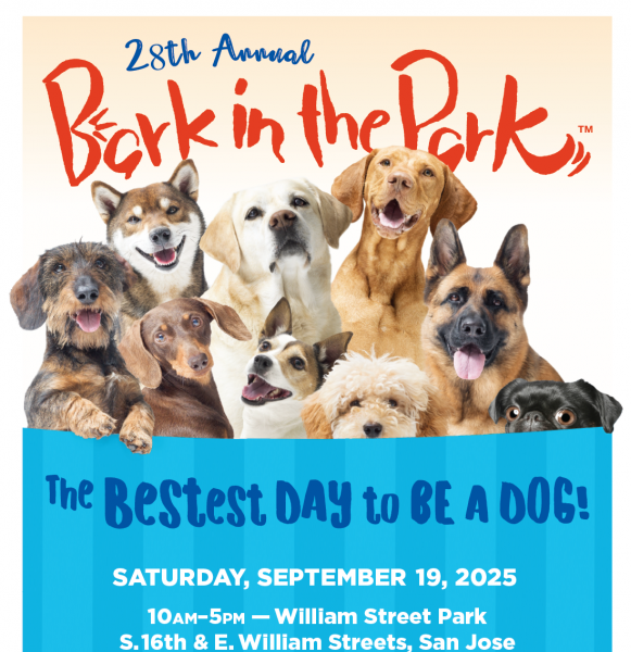 BARK IN THE PARK
