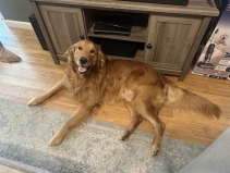 Mose  76.6 lbs