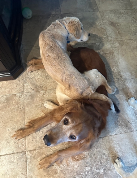 Not even sure what is happening here!