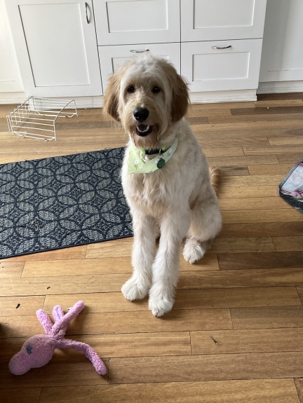 Grooming complete!