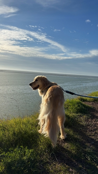 having a blast at the beach