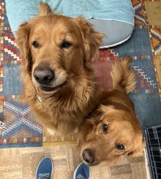 Cody with foster sister!