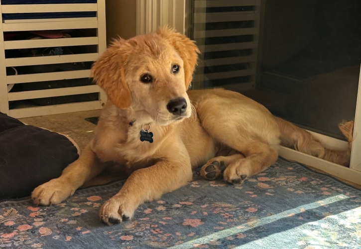 Thinking big thoughts!