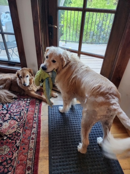 I love my toy!