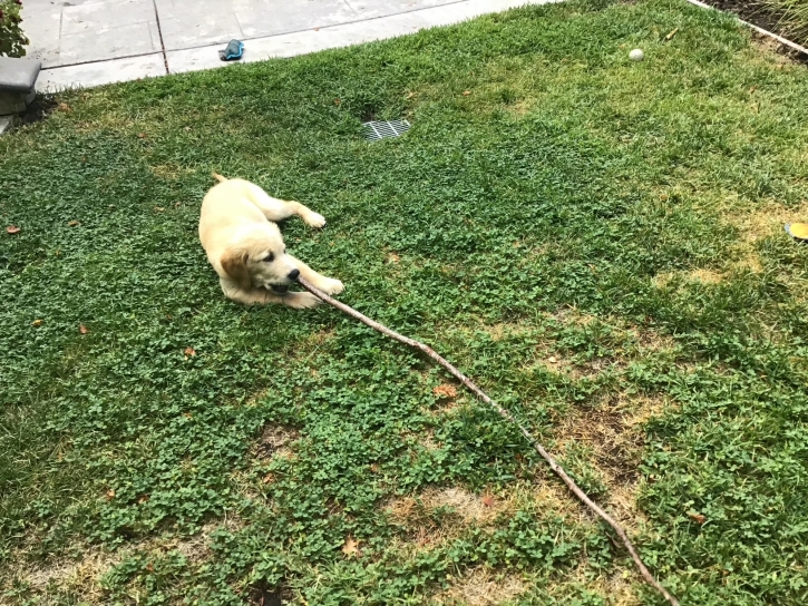 Karl, the branch manager