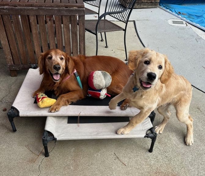 He flew through the air...