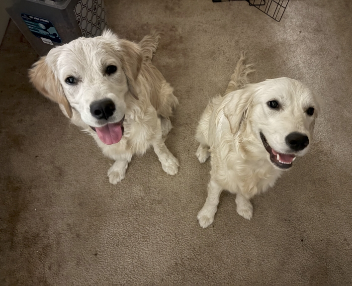 Rosey is on the right of her brother
