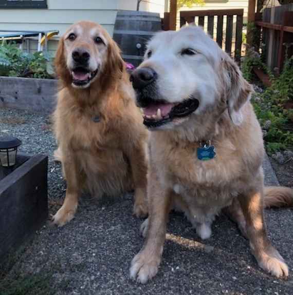 This is Mac on the right.